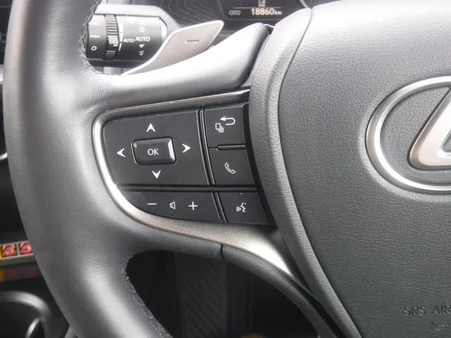 Lexus UX UX250H VERSION L 2023 — миниатюра 5