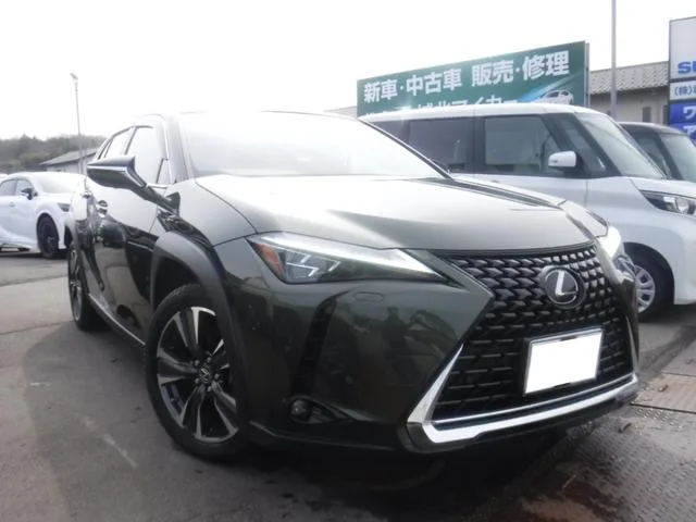 Lexus UX UX250H VERSION L 2023 — фото 1, купить с доставкой в Москву