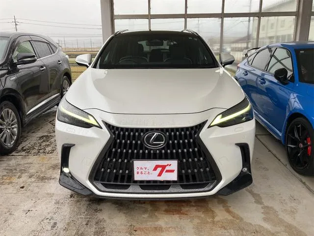 Lexus NX NX350H VERSION L 2022 — миниатюра 4