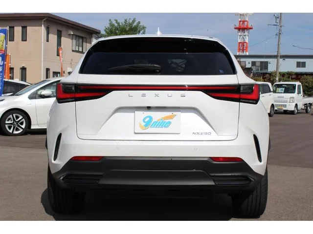 Lexus NX NX250 VERSION L 2023 — миниатюра 2