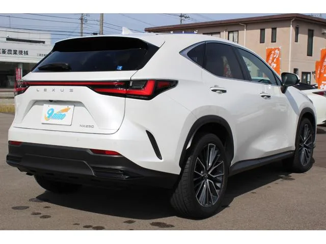 Lexus NX NX250 VERSION L 2023 — миниатюра 3