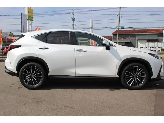 Lexus NX NX250 VERSION L 2023 — миниатюра 4