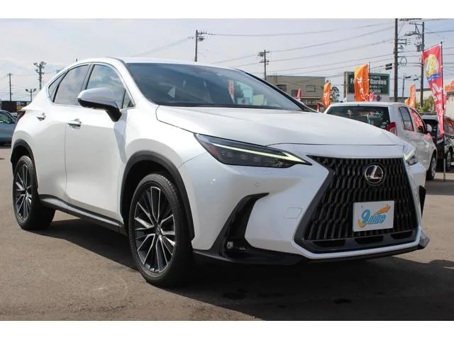 Lexus NX NX250 VERSION L 2023 — миниатюра 5