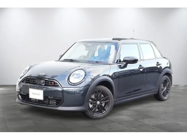MINI MINI 2025 — фото 1, купить с доставкой в Москву