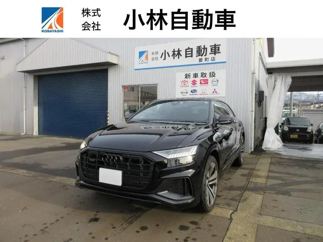 Audi Q8 55TFSI QUATTRO S LINE 2022 — фото 1, купить с доставкой в Москву