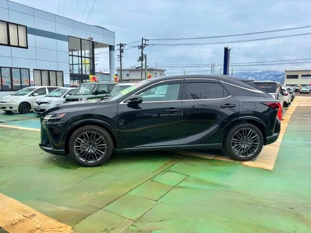 Lexus RX RX450H+ VERSION L 2024 — миниатюра 2