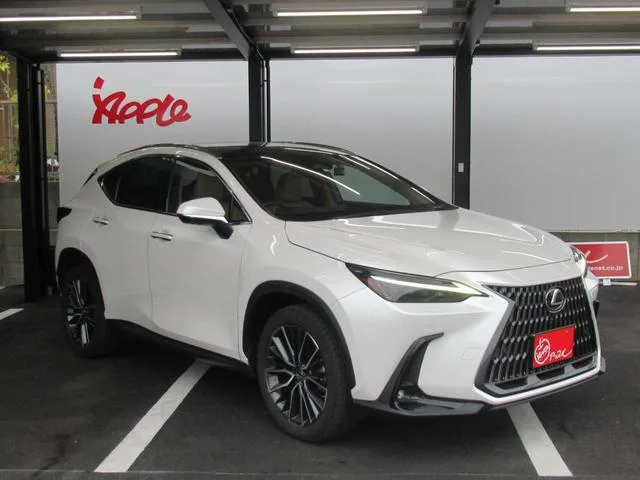 Lexus NX NX250 VERSION L 2023 — миниатюра 2