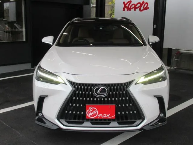 Lexus NX NX250 VERSION L 2023 — миниатюра 3
