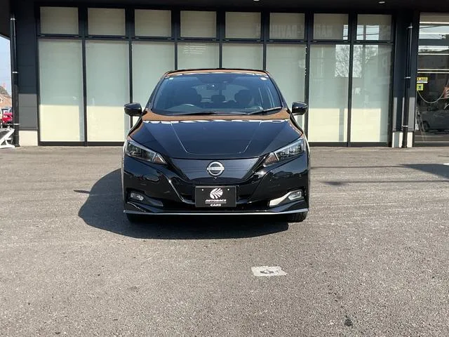 Nissan LEAF e+ G 2024 — миниатюра 4