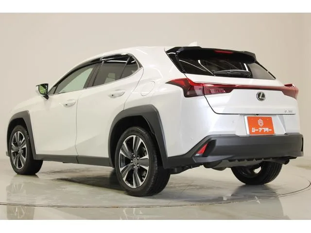 Lexus UX UX200 VERSION L 2022 — миниатюра 4
