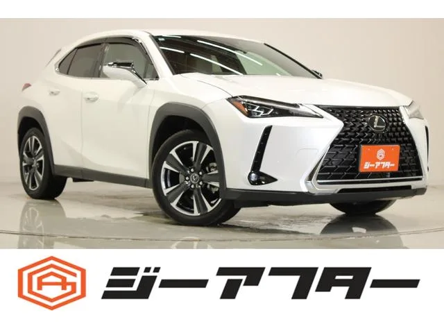 Lexus UX UX200 VERSION L 2022 — фото 1, купить с доставкой в Москву