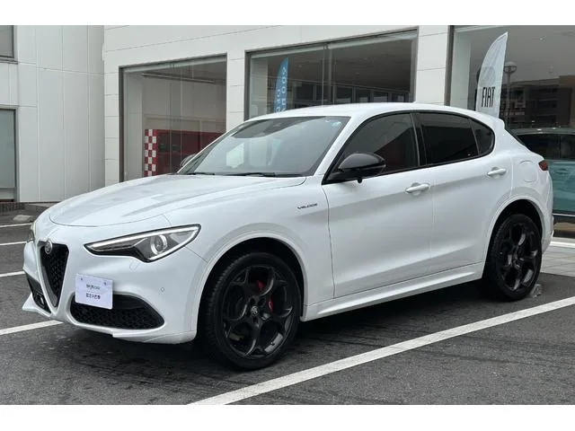 Alfa Romeo STELVIO 2.2 TURBO DIESEL Q4 VELOCE 2022 — миниатюра 3