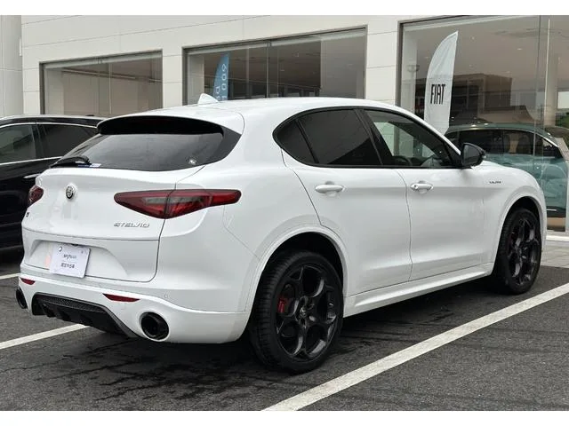 Alfa Romeo STELVIO 2.2 TURBO DIESEL Q4 VELOCE 2022 — миниатюра 4