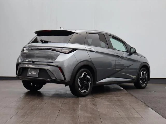 BYD DOLPHIN BASE GRADE 2024 — миниатюра 2