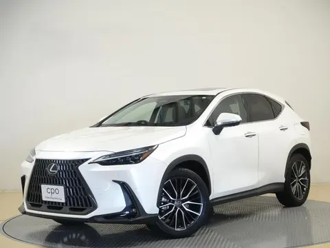Lexus NX 2023 купить в Москве