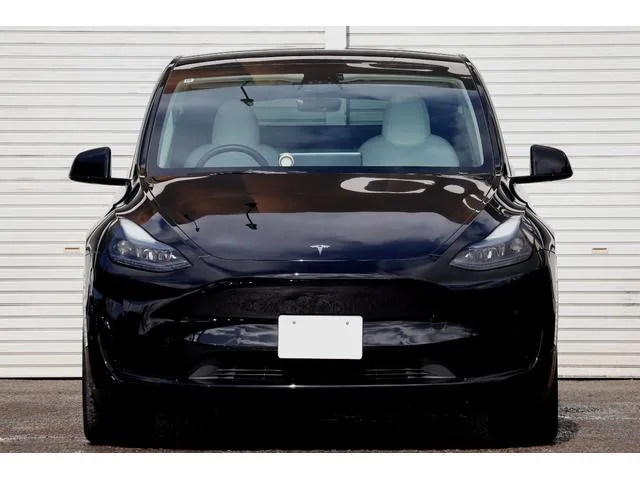 Tesla Model Y BASE GRADE 2022 — миниатюра 3