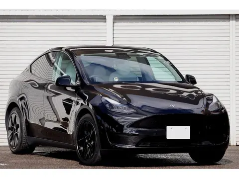 Tesla Model Y 2022 buy in Moscow