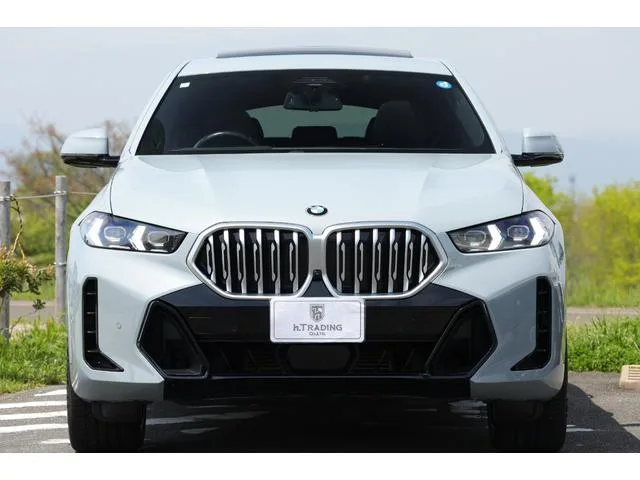 BMW X6 X DRIVE 35D M SPORT 2024 — миниатюра 5