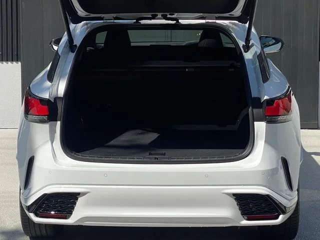 Lexus RX RX500H F SPORT PERFORMANCE 2023 — миниатюра 3