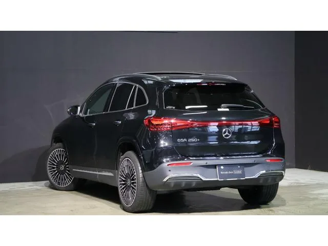 Mercedes-Benz EQA EQA250+ AMG LINE PACKAGE 2025 — миниатюра 2
