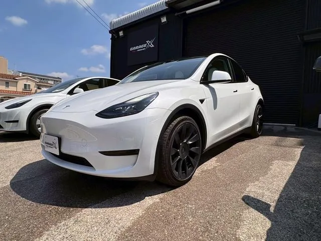 Tesla MODEL Y BASE GRADE 2022 — миниатюра 2