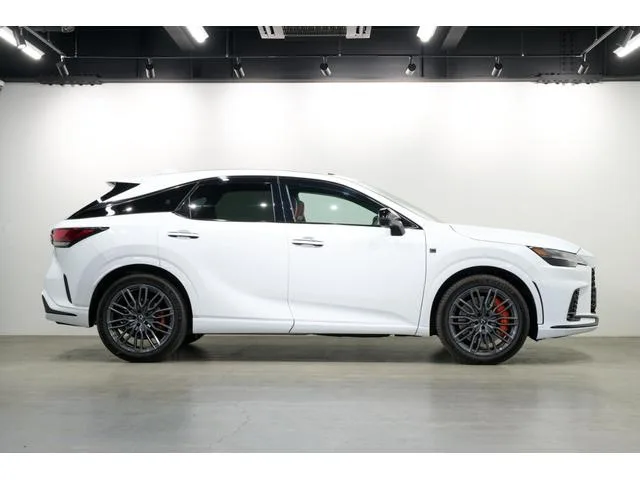 Lexus RX RX500H F SPORT PERFORMANCE 2023 — миниатюра 2