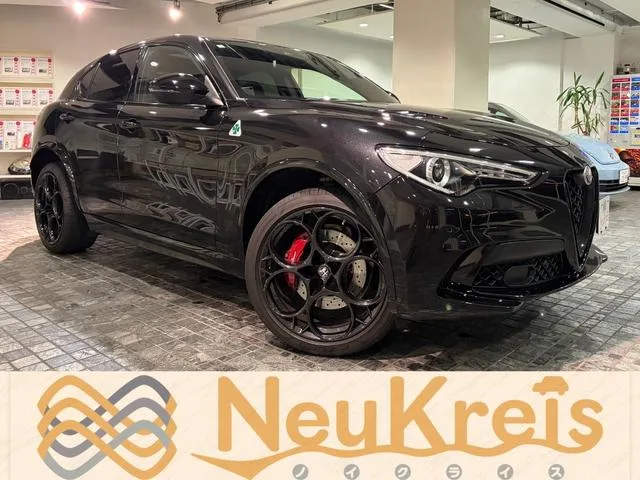 Alfa Romeo STELVIO QUADRIFOGLIO 2023 — фото 1, купить с доставкой в Москву