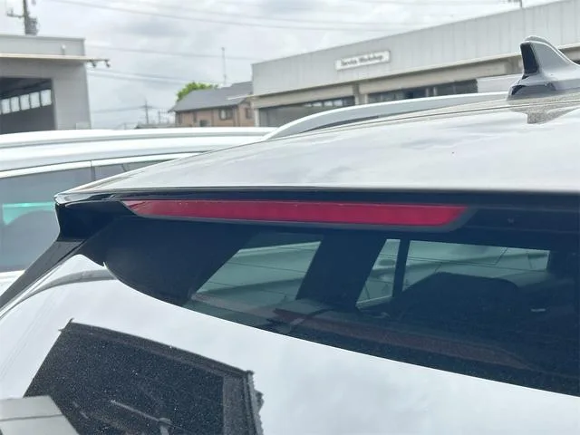 Volkswagen GOLF VARIANT TDI R LINE 2025 — миниатюра 5