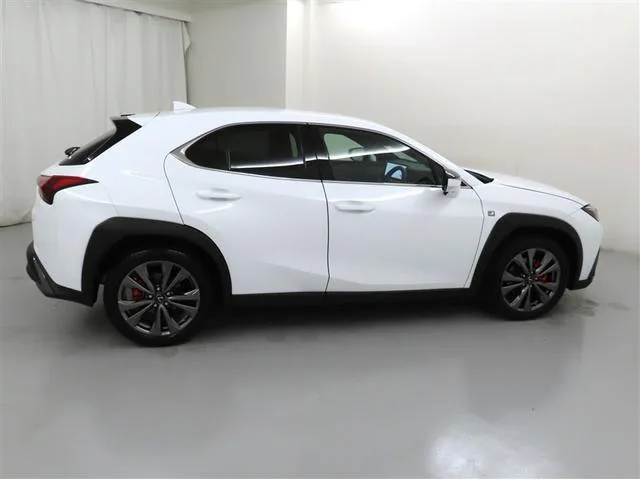 Lexus UX UX250H F SPORT 2023 — миниатюра 2