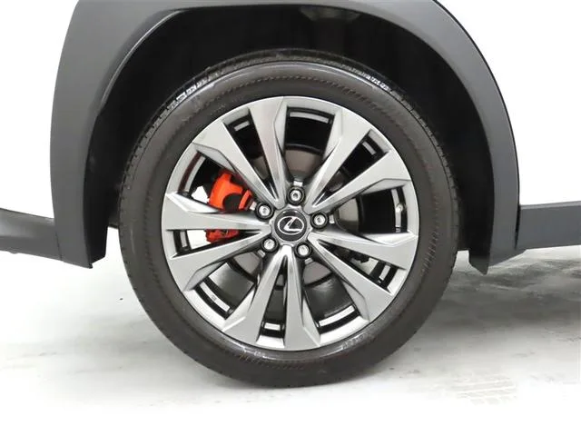 Lexus UX UX250H F SPORT 2023 — миниатюра 4