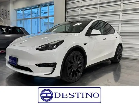 Tesla Model Y 2023 buy in Moscow