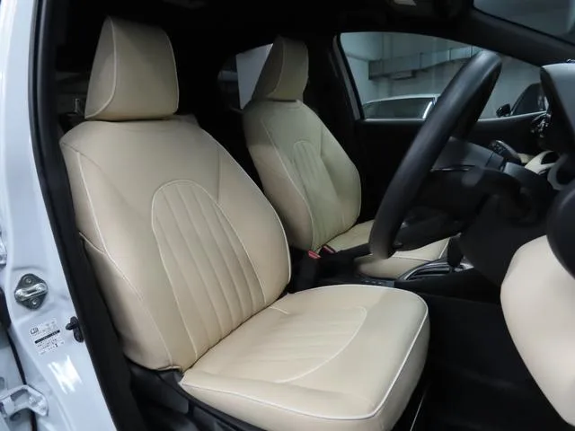 Mitsuoka VIEWT STORY HYBRID LX 2026 — миниатюра 4