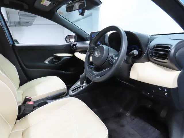 Mitsuoka VIEWT STORY HYBRID LX 2024 — миниатюра 3