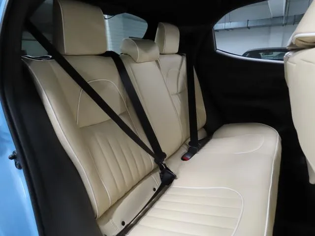 Mitsuoka VIEWT STORY HYBRID LX 2024 — миниатюра 4