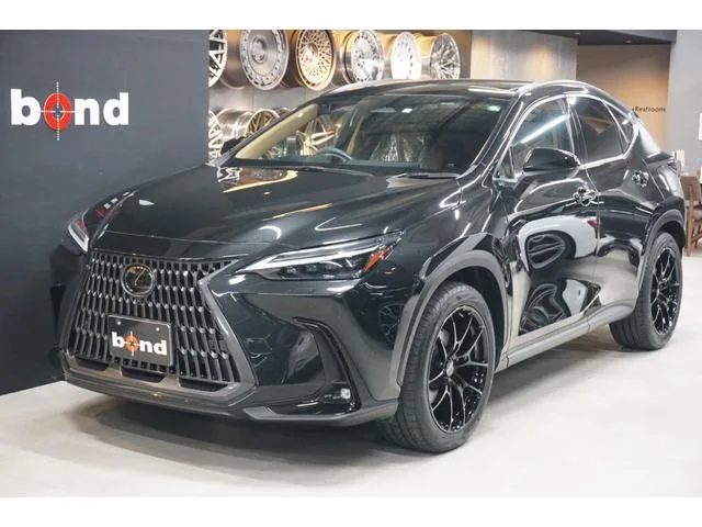 Lexus NX NX350H VERSION L 2023 — миниатюра 2