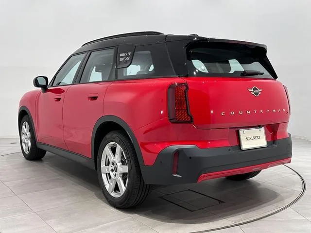 MINI MINI 2025 — миниатюра 4