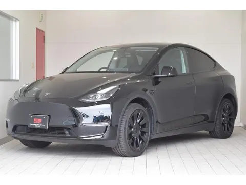 Tesla Model Y 2023 buy in Moscow