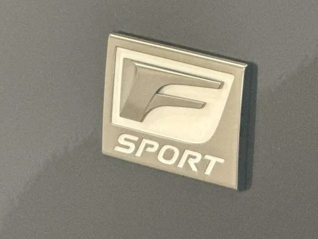 Lexus NX NX350H F SPORT 2024 — миниатюра 5