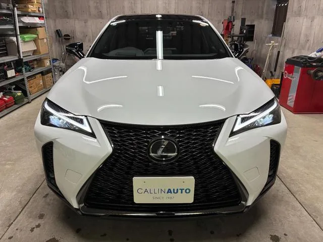 Lexus UX UX250H F SPORT EMOTIONAL EXPLORER 2023 — миниатюра 2