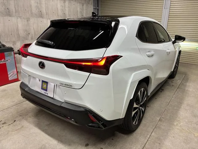 Lexus UX UX250H F SPORT EMOTIONAL EXPLORER 2023 — миниатюра 3