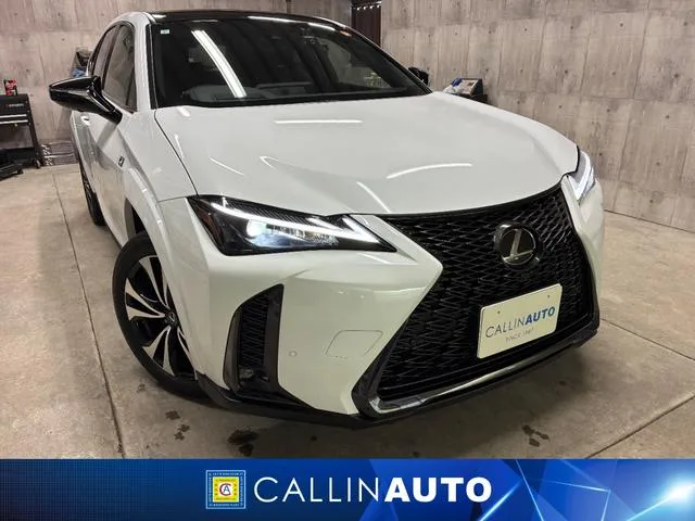 Lexus UX UX250H F SPORT EMOTIONAL EXPLORER 2023 — фото 1, купить с доставкой в Москву