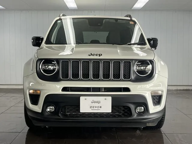Chrysler Jeep JEEP RENEGADE LIMITED 2023 — миниатюра 3