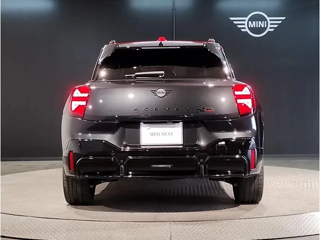 MINI MINI 2025 — миниатюра 3