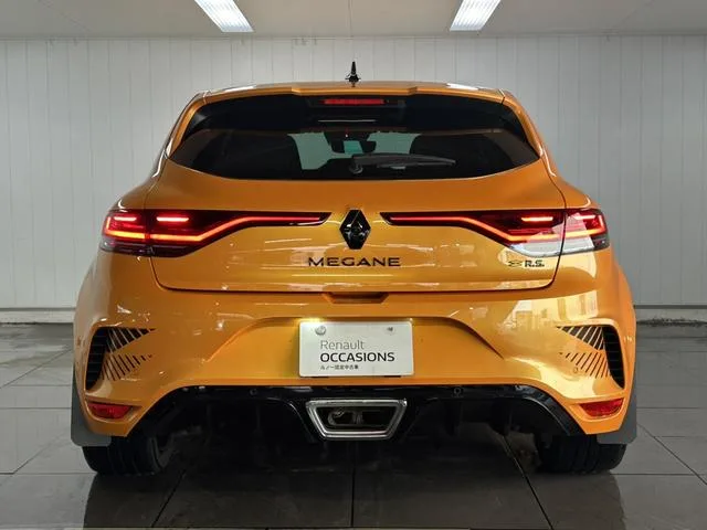 Renault Megane R.S.ULTIME 2024 — миниатюра 5
