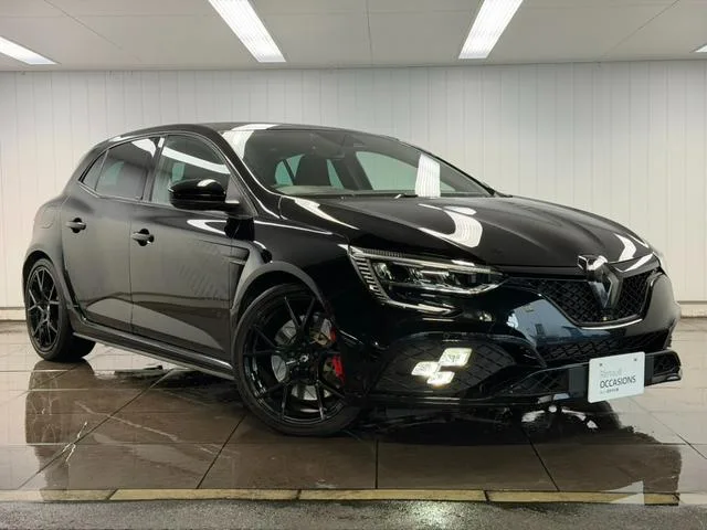 Renault MEGANE R.S.ULTIME 2024 — миниатюра 4