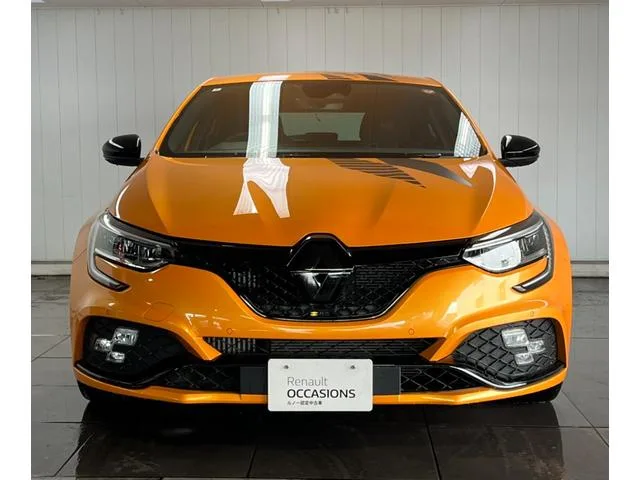 Renault MEGANE R.S.ULTIME 2024 — миниатюра 4