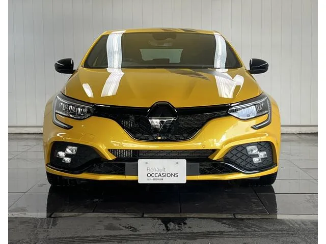 Renault Megane R.S.ULTIME 2025 — миниатюра 4