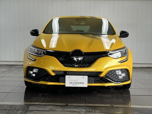 Renault MEGANE R.S.ULTIME 2024 — миниатюра 4
