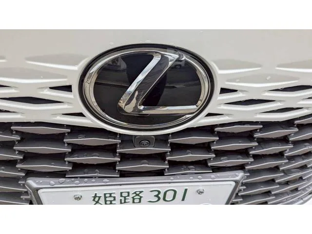 Lexus RX RX450H+ VERSION L 2023 — миниатюра 3