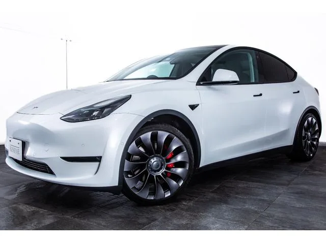 Tesla Model Y PERFORMANCE 2022 — миниатюра 3